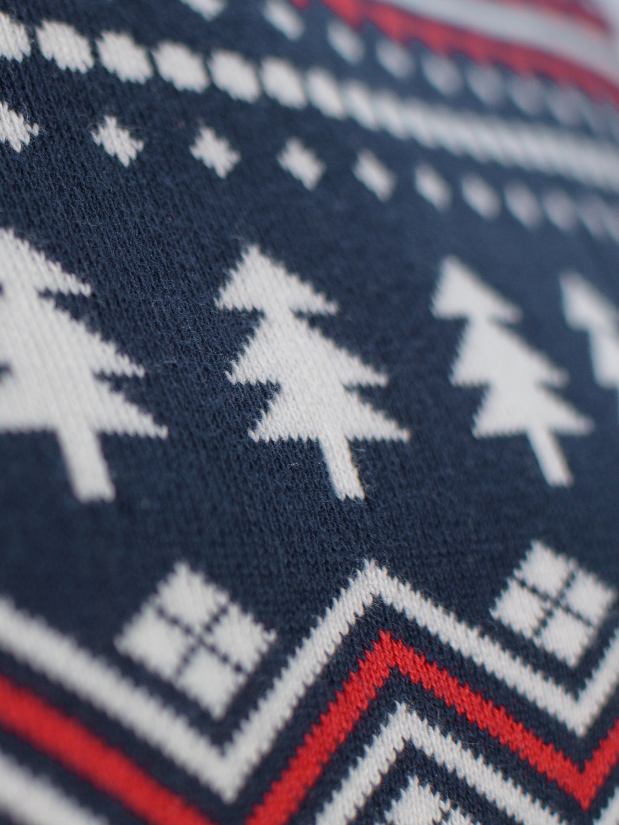 Jersey Mujer Coldberry de Algodón Orgánico 100% Detalle